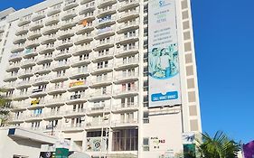 Armeria Stay Dlf My Pad